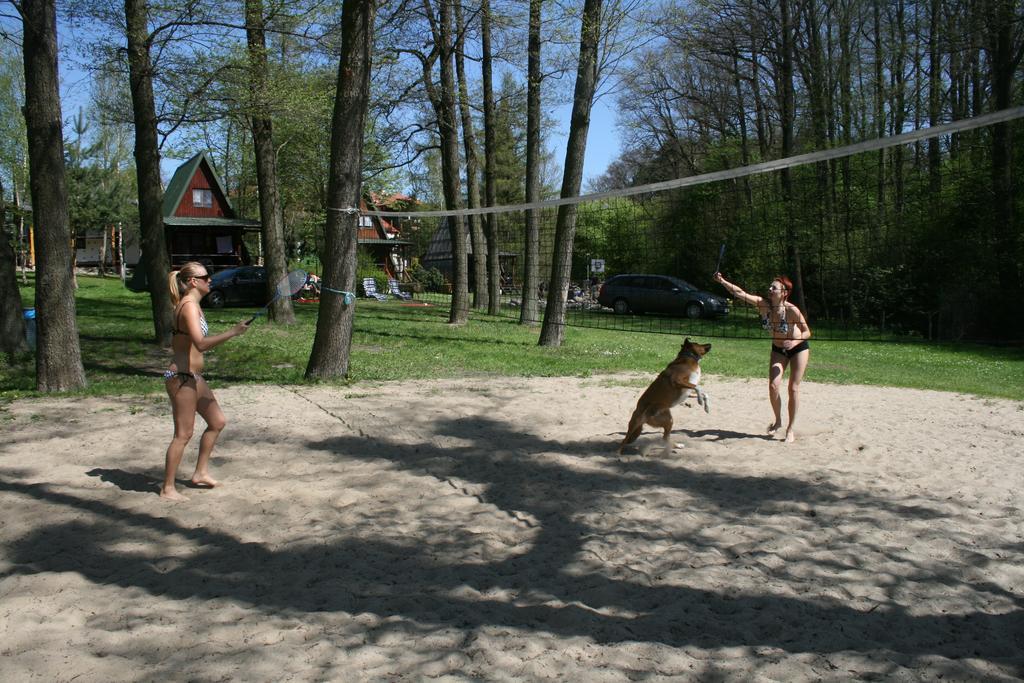 Stajnia Sarnowek Nad Jeziorem Rozany Rozajny Wielkie ภายนอก รูปภาพ